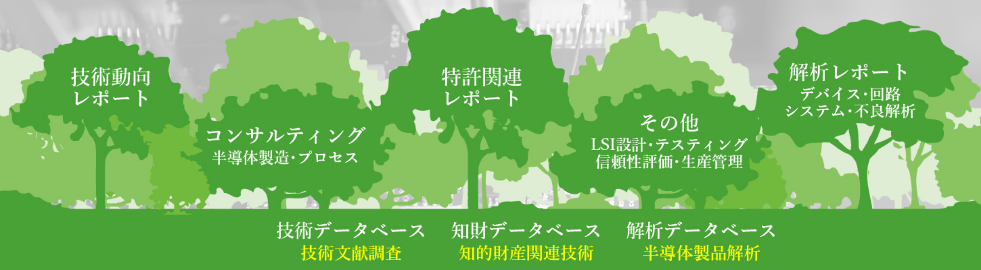 技術データベース・知財データベース・解析データベース